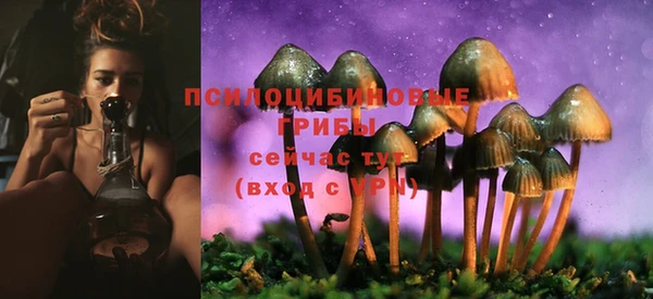 MDMA Premium VHQ Богданович